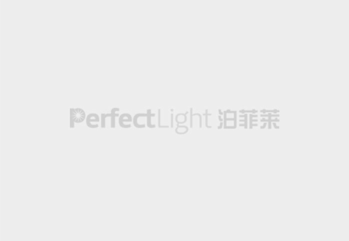 PLR RVTF-PM 微型气固相催化反应评价装置